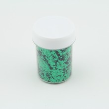 Paillettes Vert - 1,6mm - 40 ml pour Plastique liquide